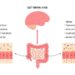 The Gut-Brain Connection: How a Healthy Gut Supports Emotional and ...