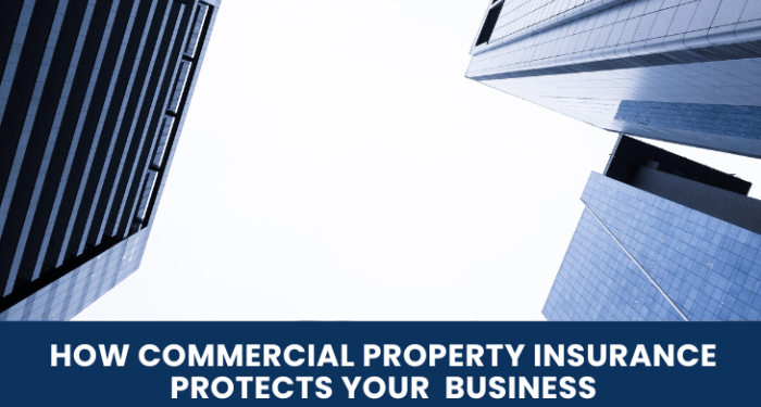 How Commercial Property Insurance Protects Your Business - SFM Insurance