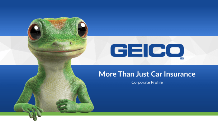 Insurance Commercials Geico