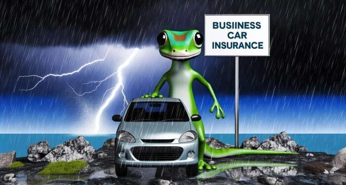 Geico Business Car Insurance